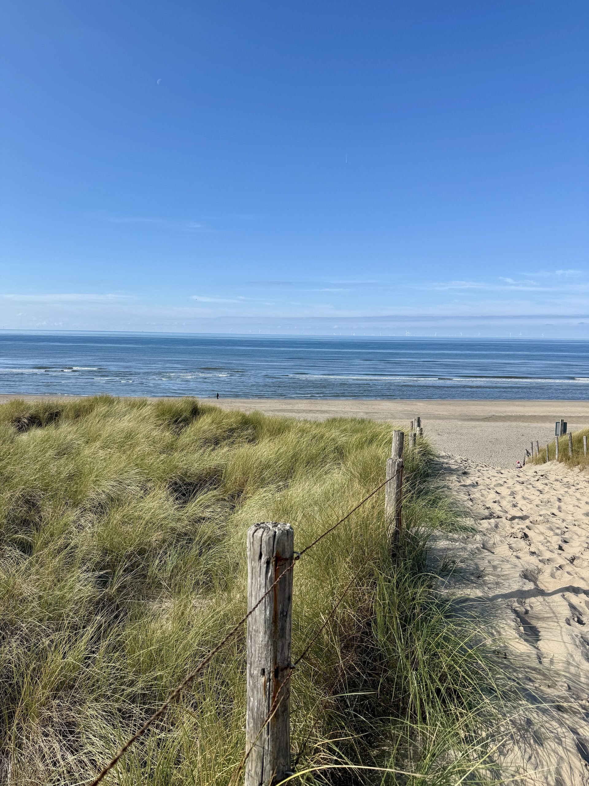 Uitwaaien aan zee
